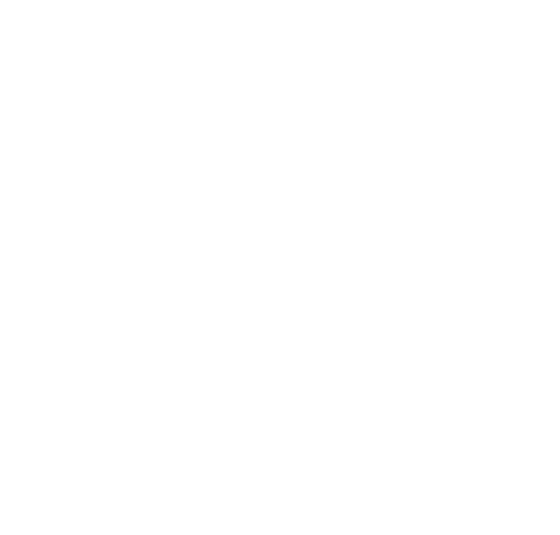 Stonehorn Solutions
