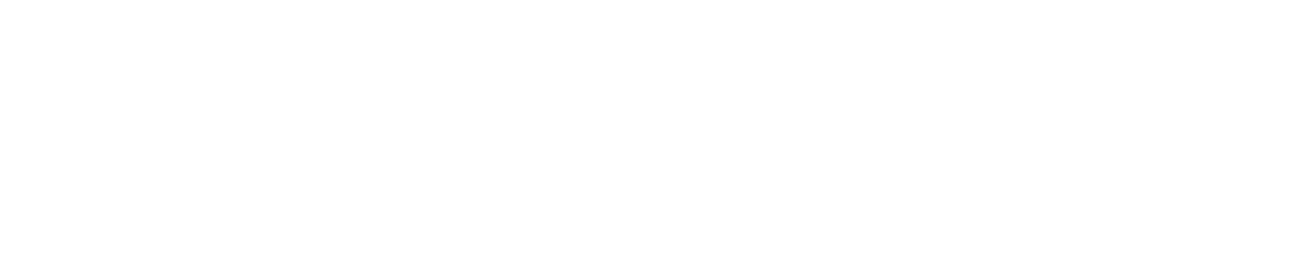Stonehorn Solutions